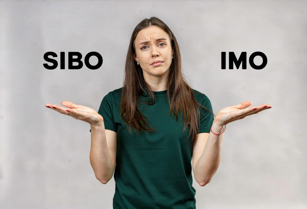 sibo czy imo

