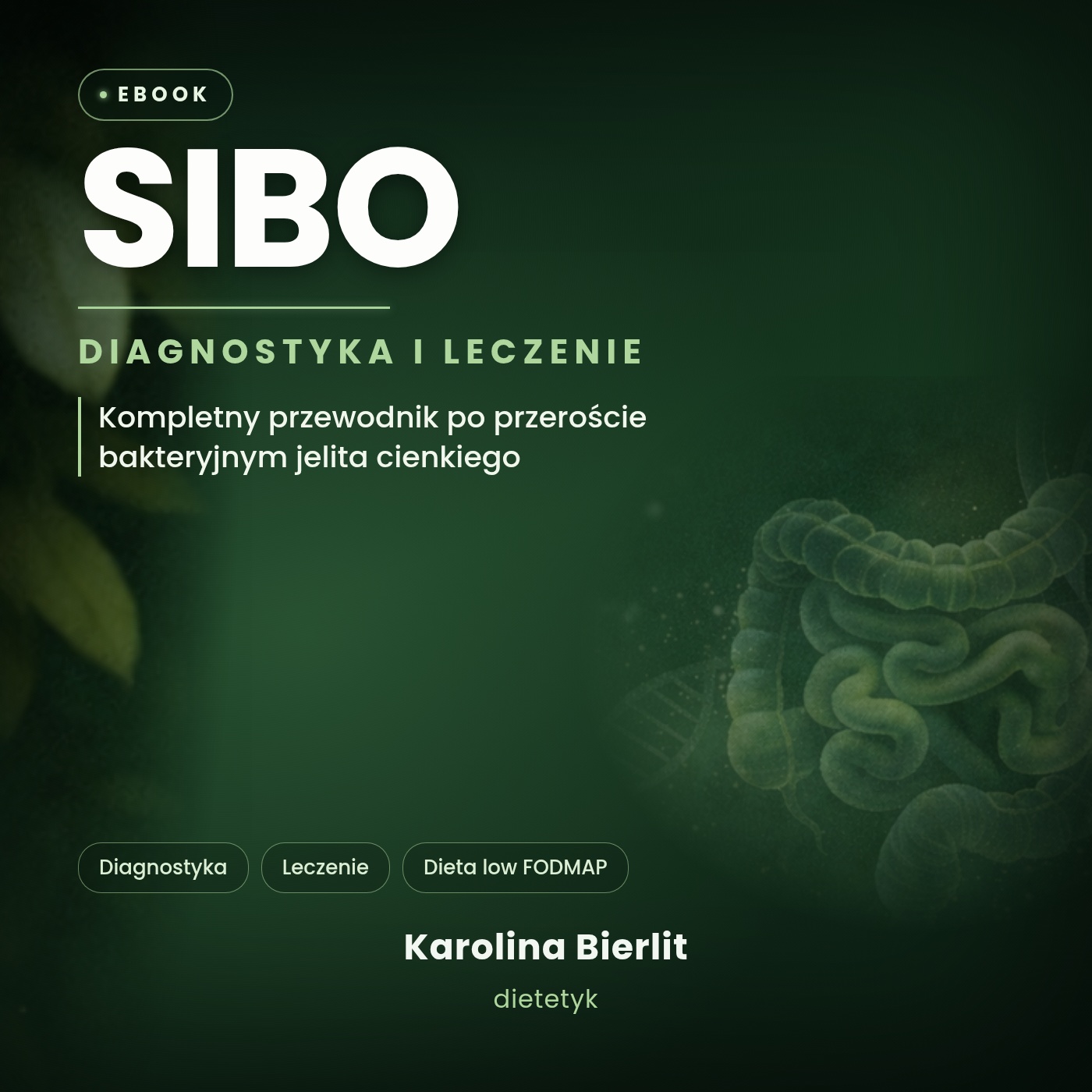 Ebook SIBO Diagnostyka i leczenie